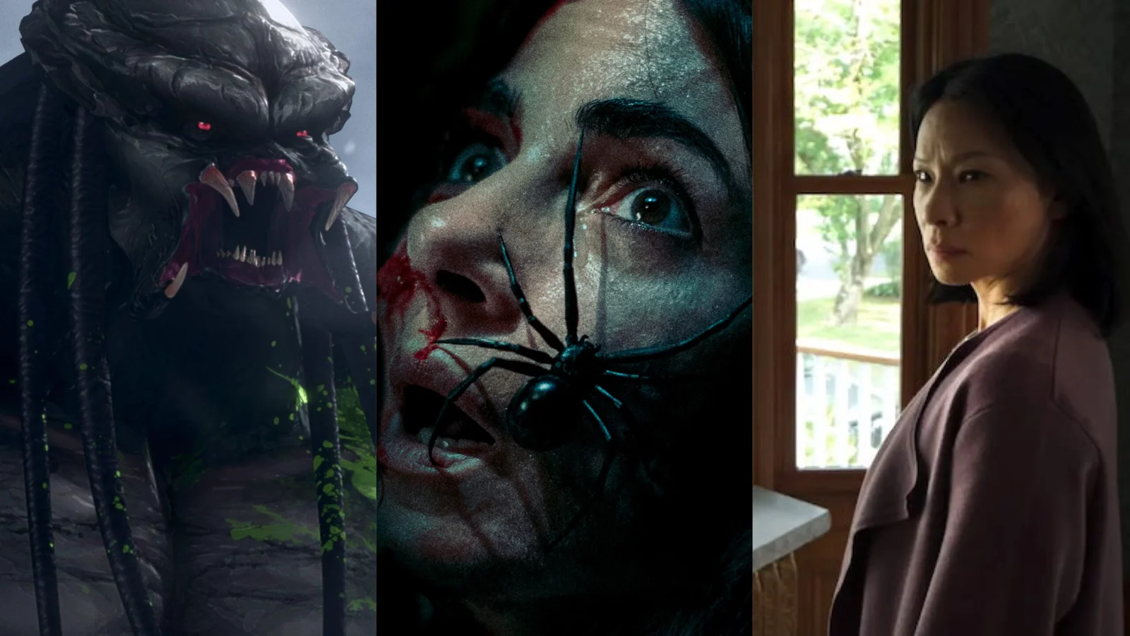 Les Meilleures Sorties en Streamings : Du 1er au 7 Juin 2025